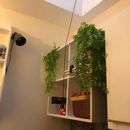Chez Moi - Cinzia